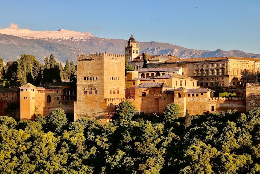 Oh My Good Guide Malaga Andalusia Spain twisht