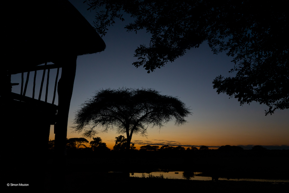 Senyati Safari Camp twisht blog