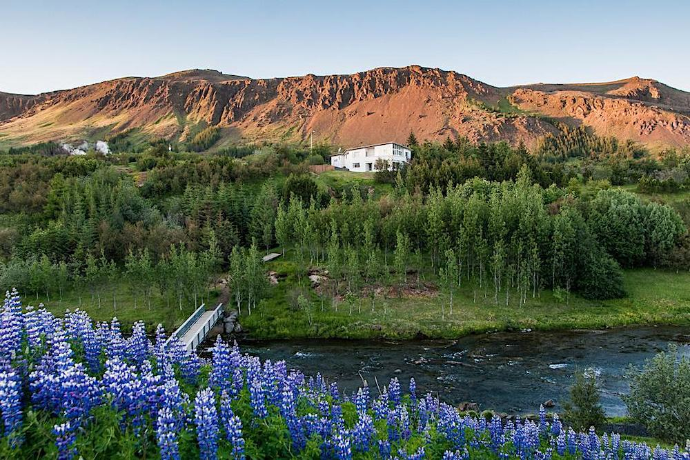 Iceland's Guesthouse