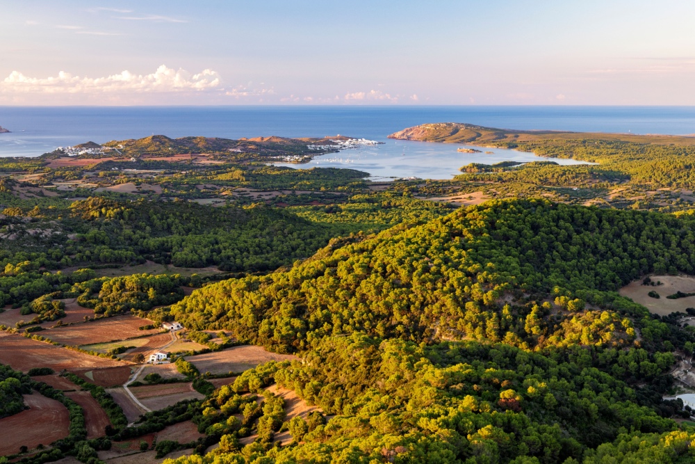 Monte Toro Menorca twisht