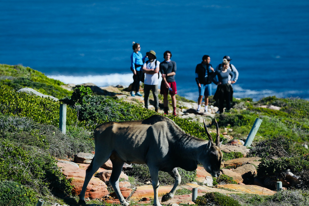 Cape Point travelwishlist
