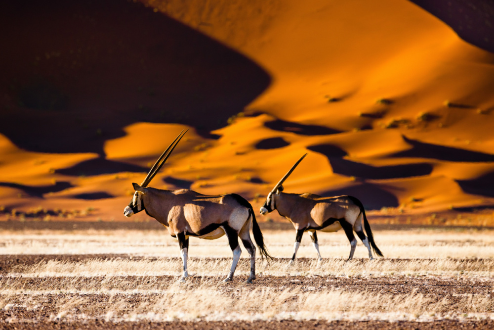 Sossusvlei Namibia twisht