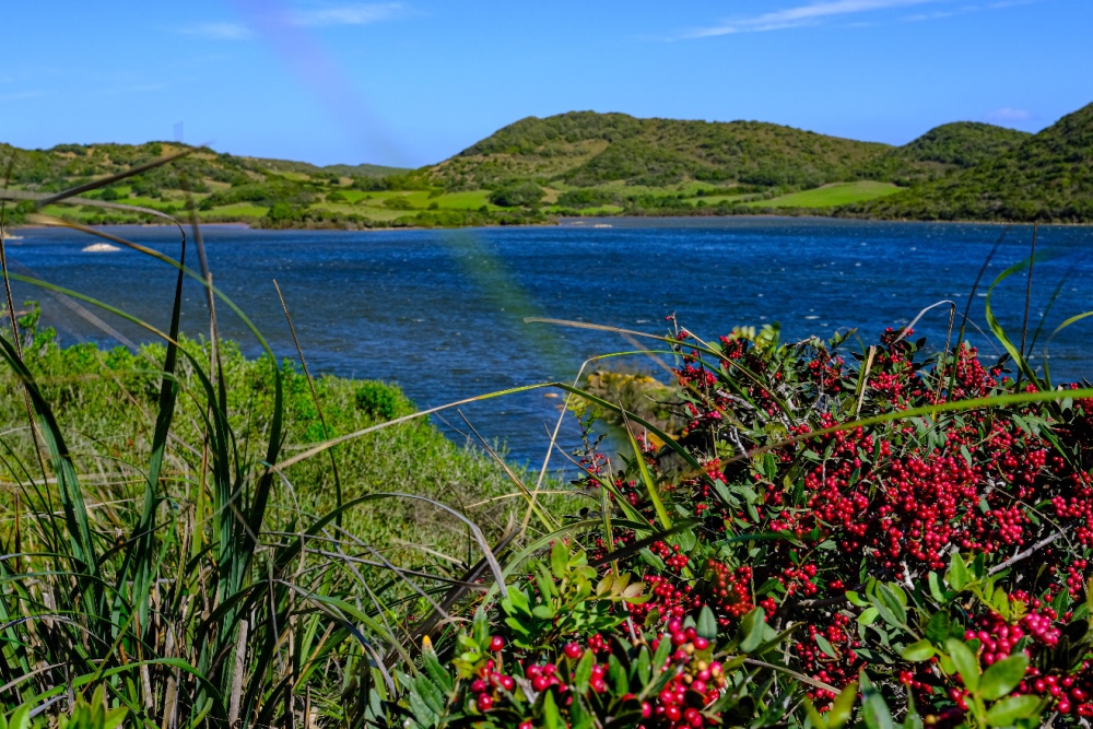 Parc des Grau Menorca twisht