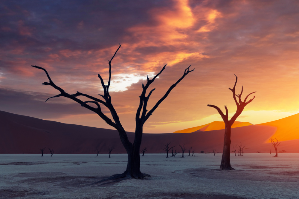 Sossusvlei Namibia twisht