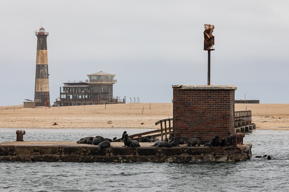 Pelican Point Walvis Bay twisht