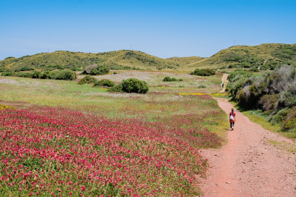 Parc des Grau Menorca twisht