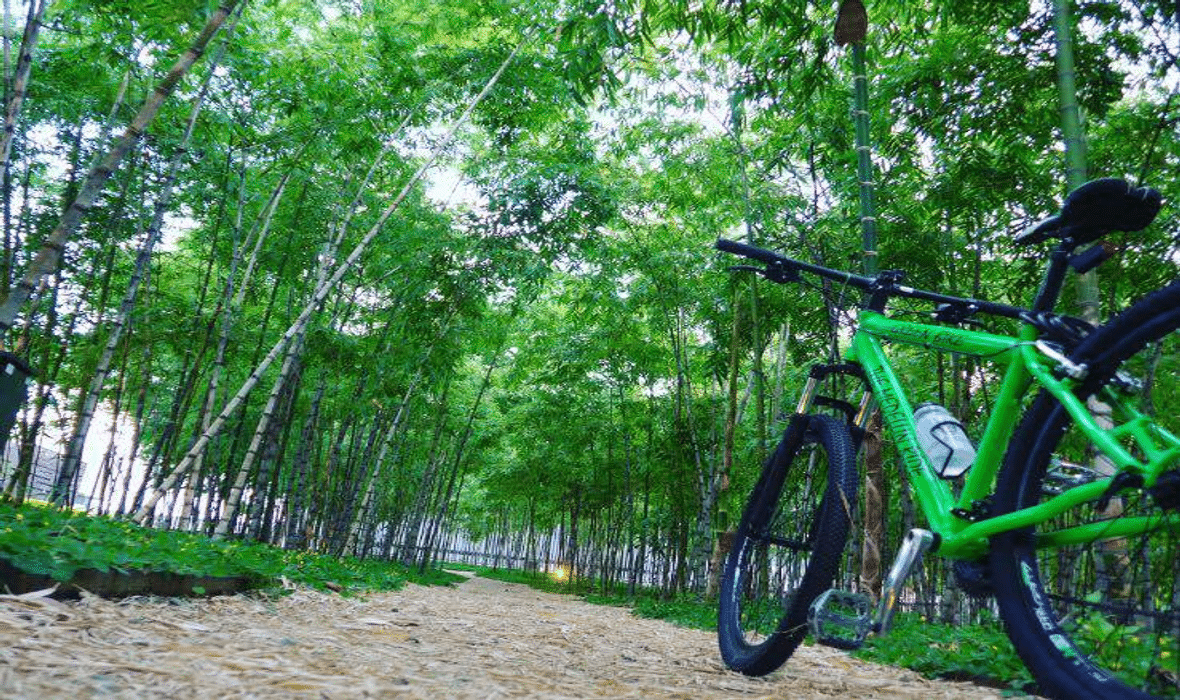 green bike tour